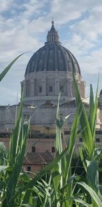 Cúpula edificada sobre o túmulo de São Pedro, Primeiro Papa. Pedro, acolhendo a Palavra do Senhor, por sua fidelidade até mesmo no martírio, tornou-se fundamento da Igreja. Que ele nos incentive a, também nós, vivermos a Palavra de Deus com a mesma coerência e generosidade  